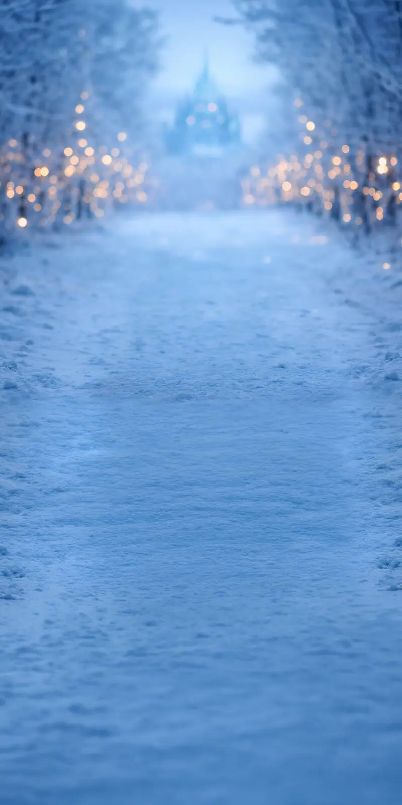Frozen Forest Sweep