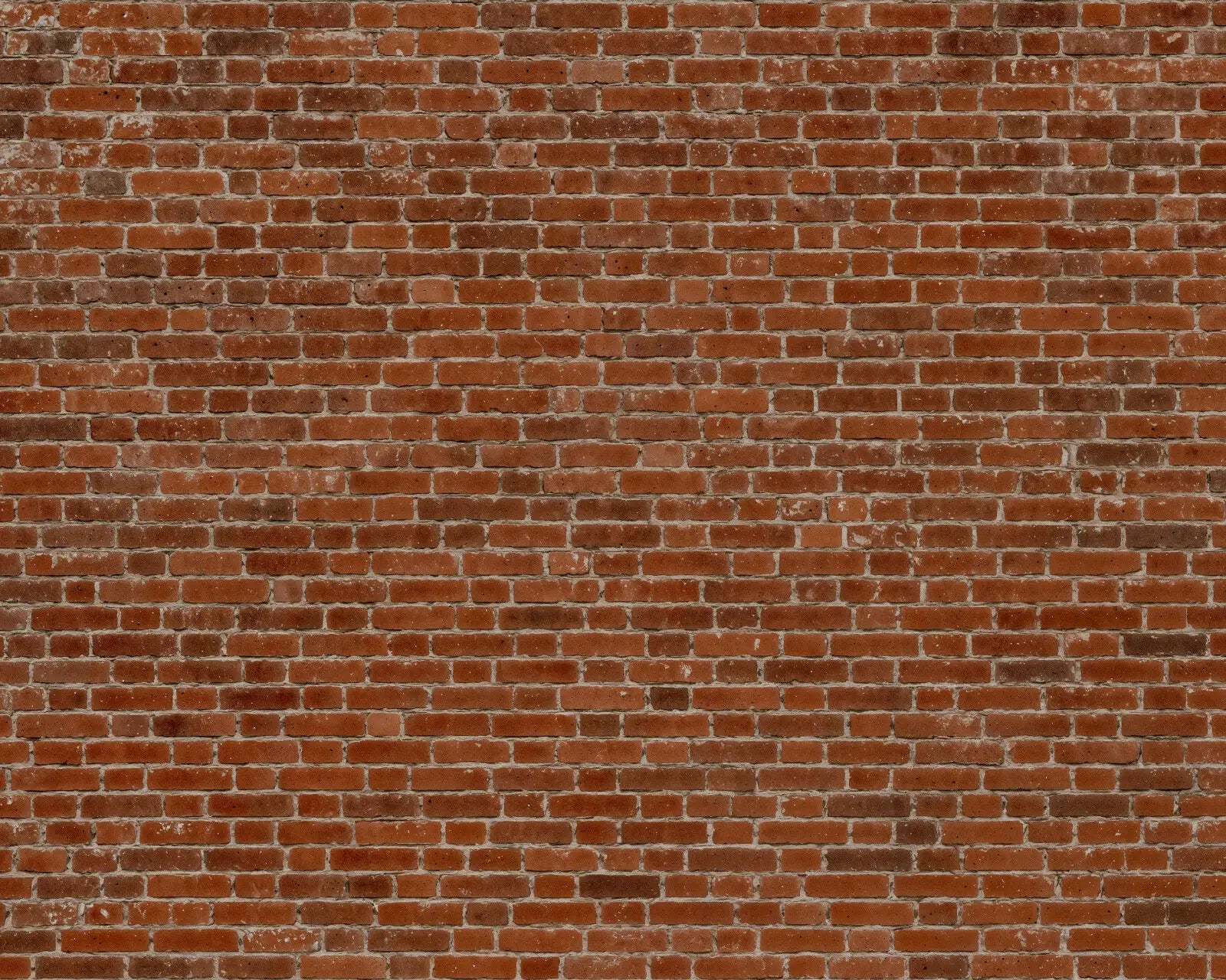 Authentic Weathered Brick Wall