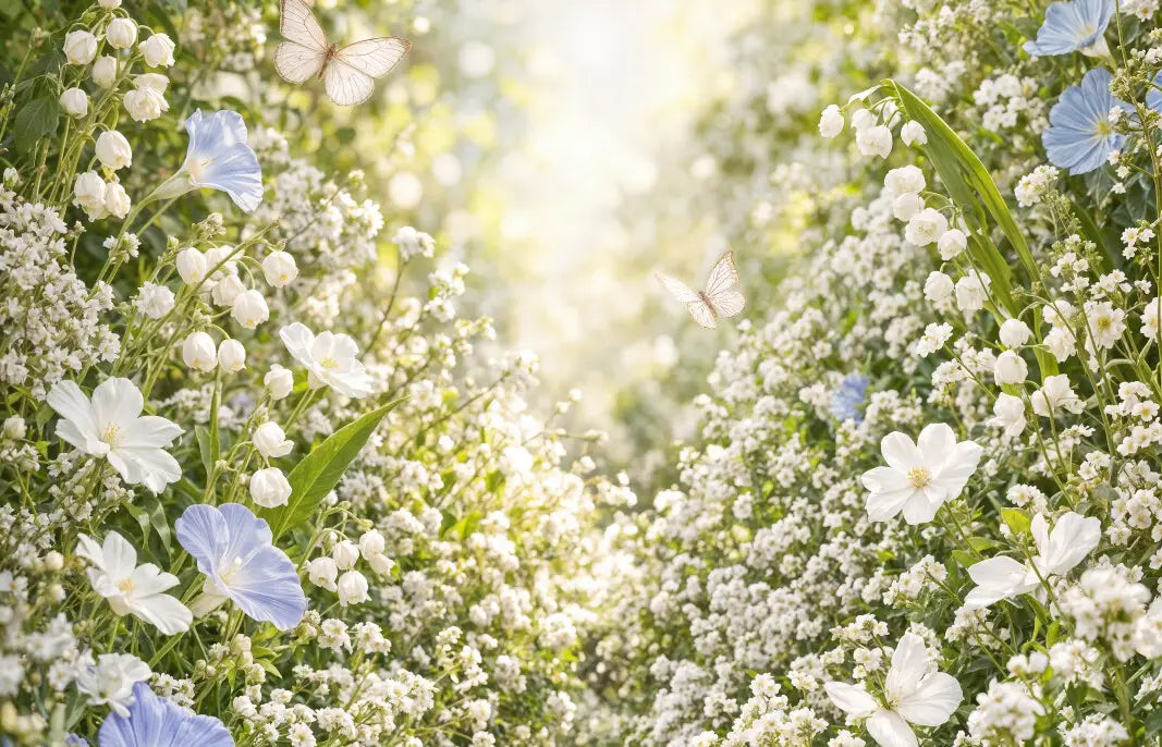 Morning Glory Path
