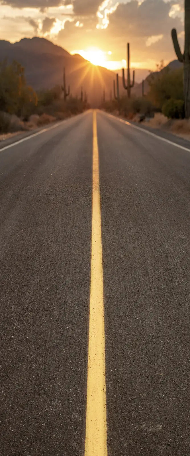 Desert Highway Sweep