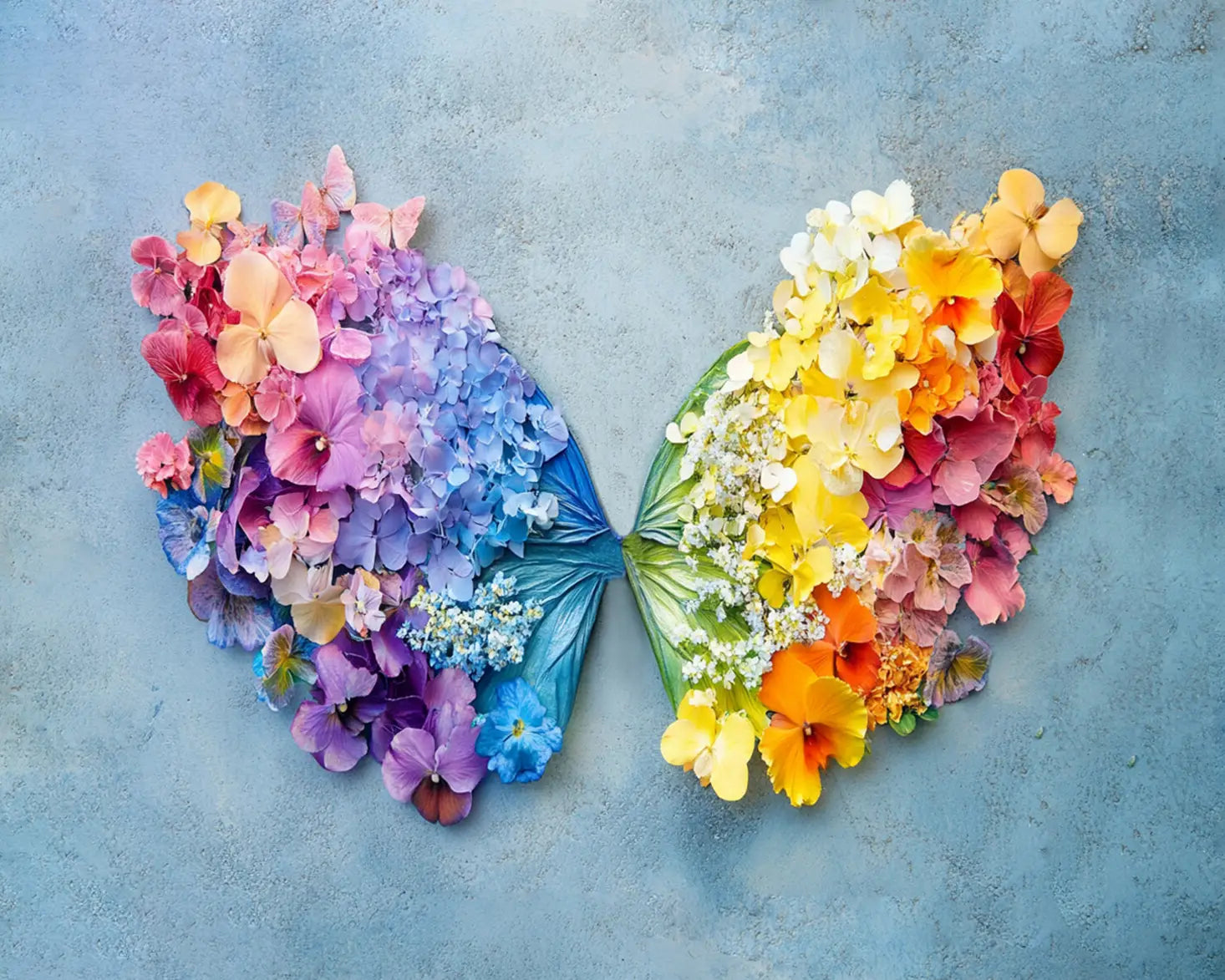 Rainbow Wings
