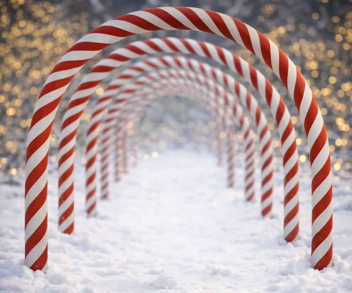 White Red Backdrop for Photography