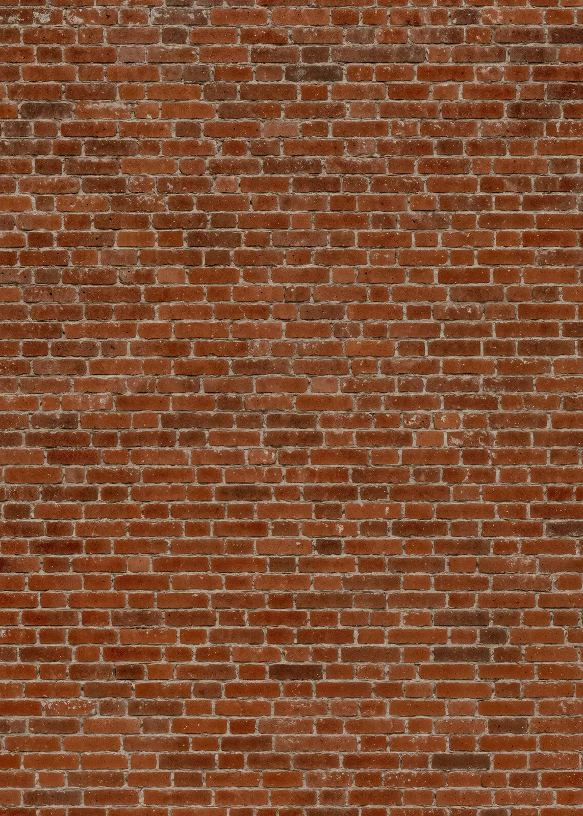 Authentic Weathered Brick Wall