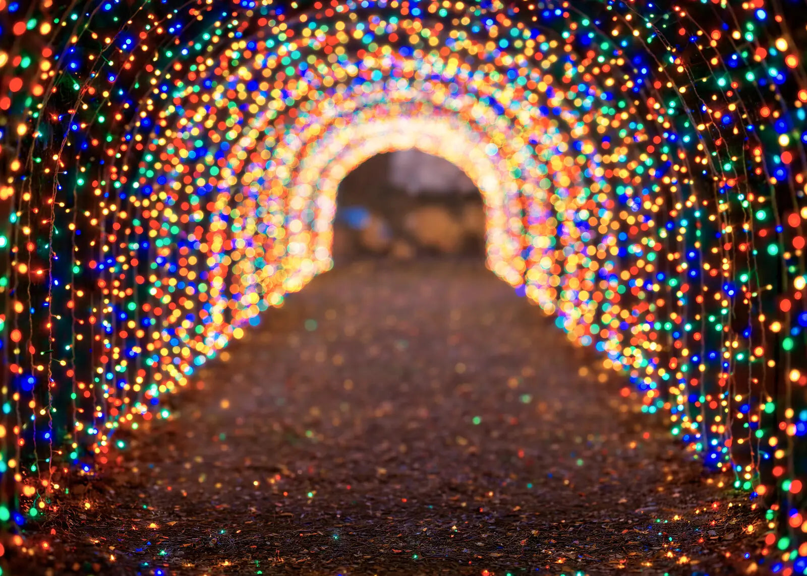 Multicolored Christmas Light Path