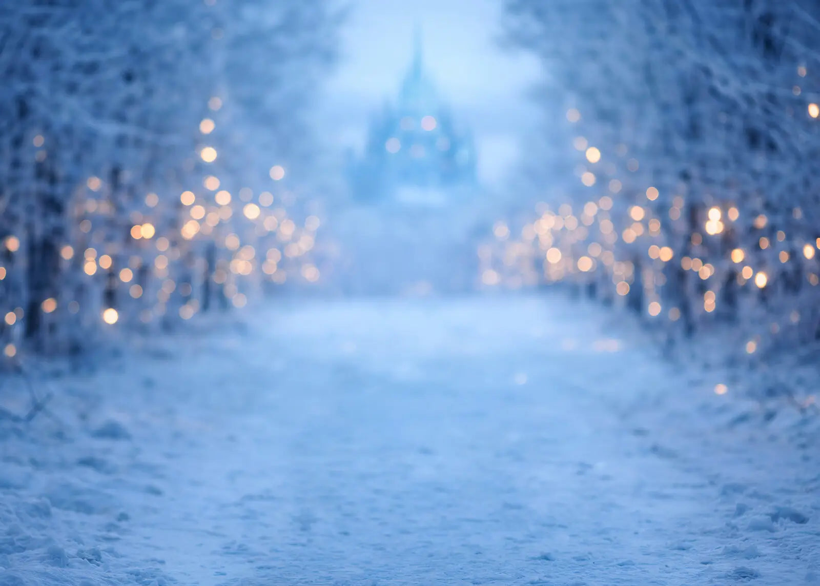 Frozen Forest