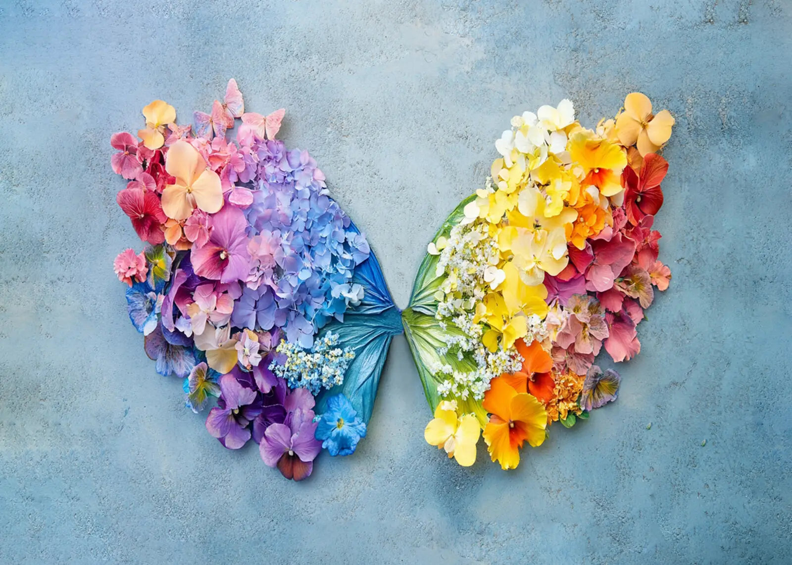 Rainbow Wings