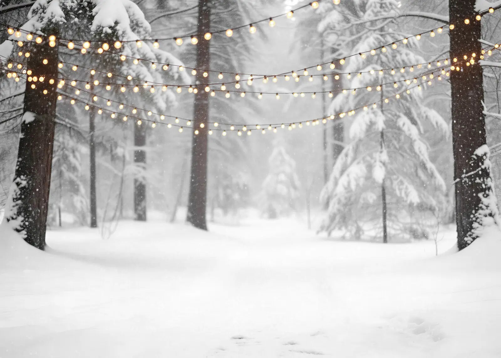 Snowy Forest Wood