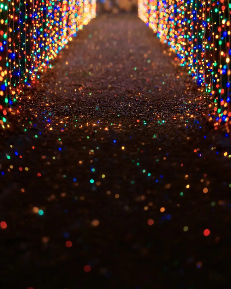 Multicolored Christmas Light Path Sweep