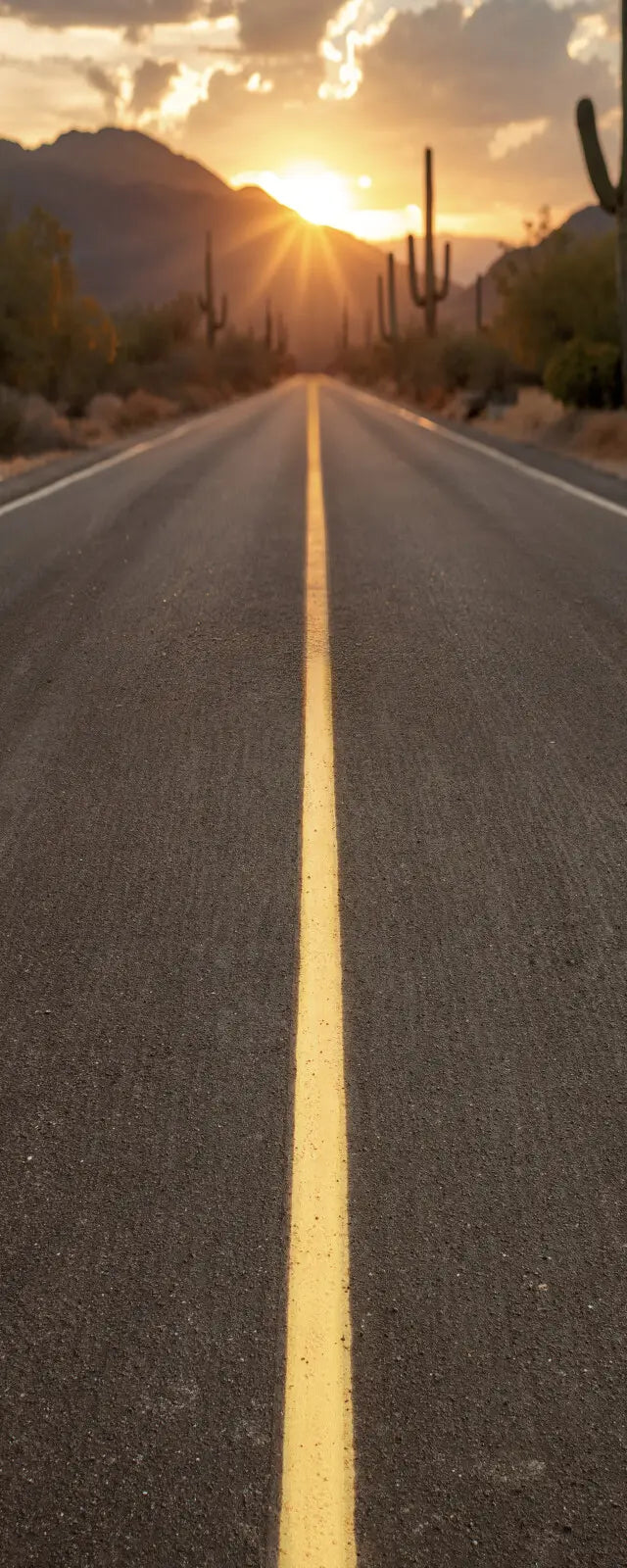Desert Highway Sweep