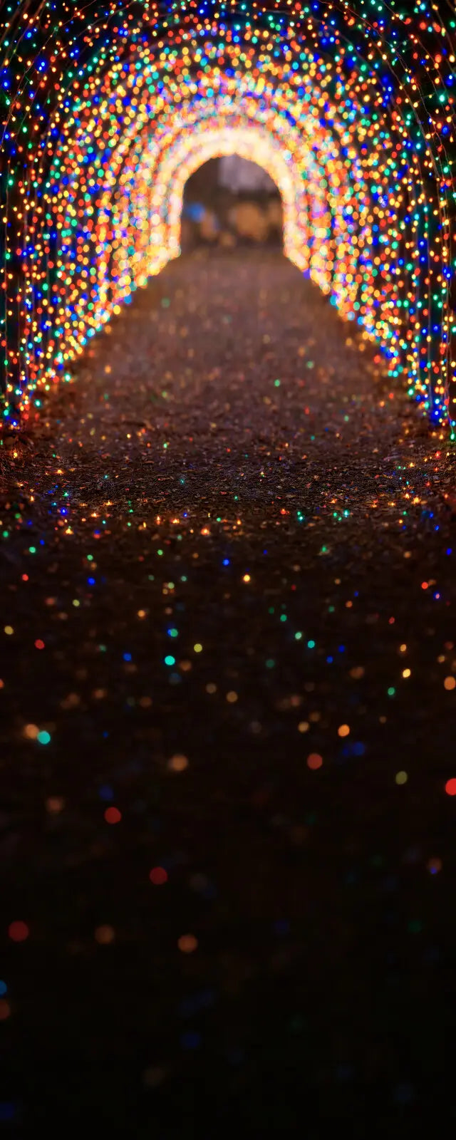 Multicolored Christmas Light Path Sweep