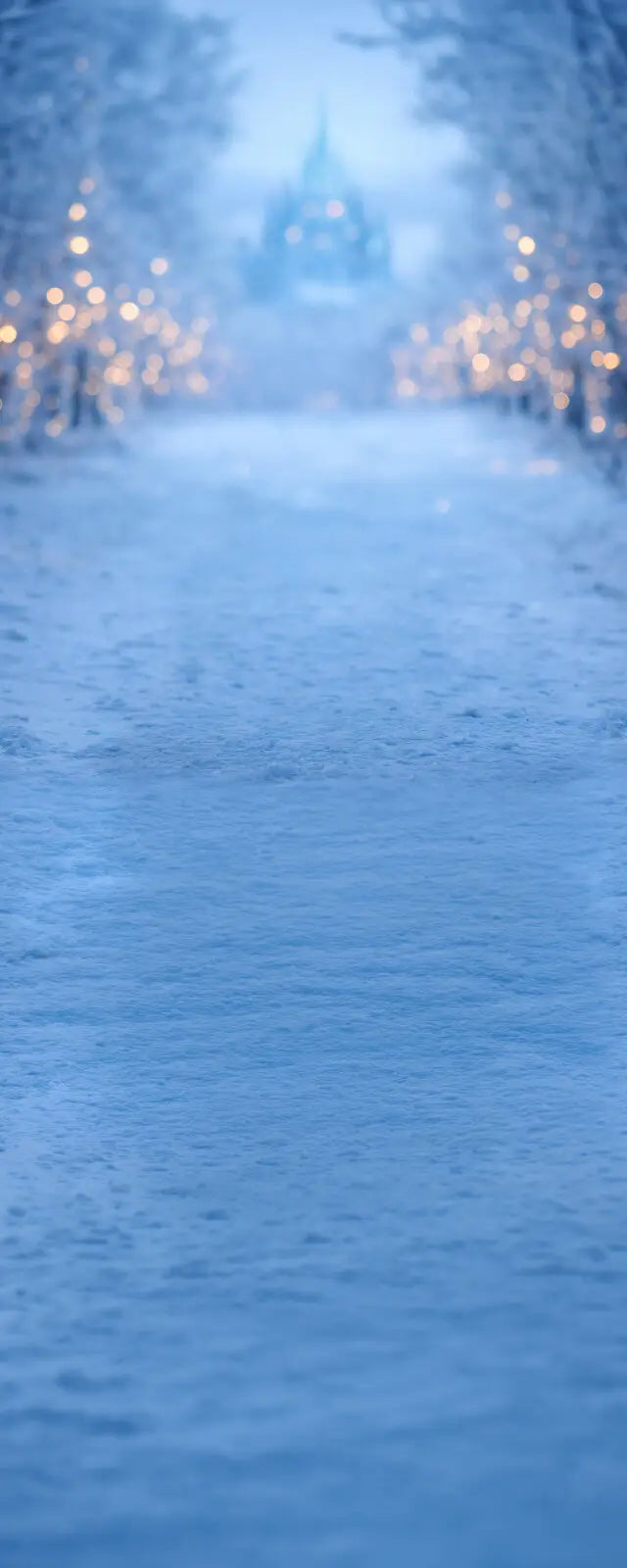 Frozen Forest Sweep