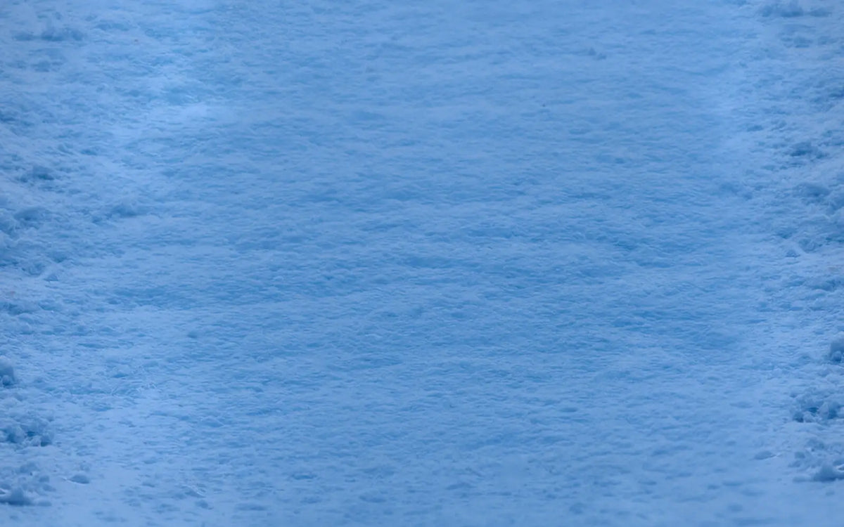 Frozen Forest Rubbermat Floor