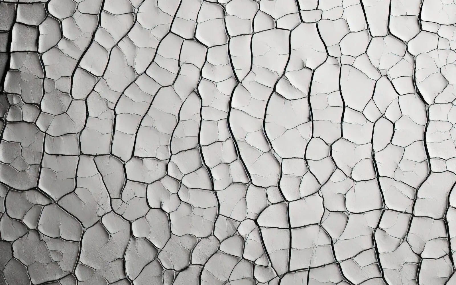 Cracked Salt Field