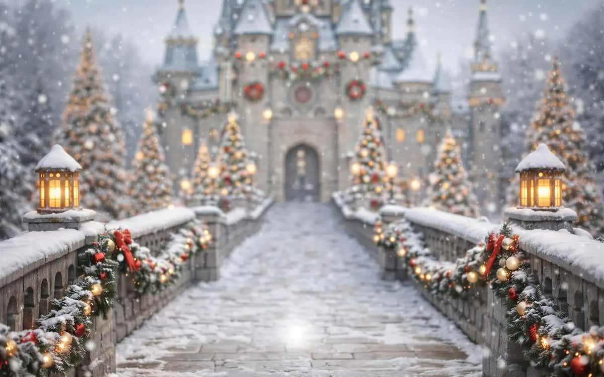 Christmas Castle