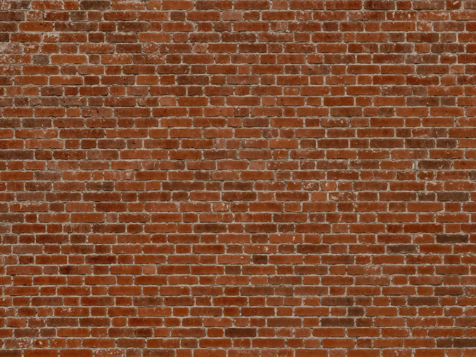 Authentic Weathered Brick Wall