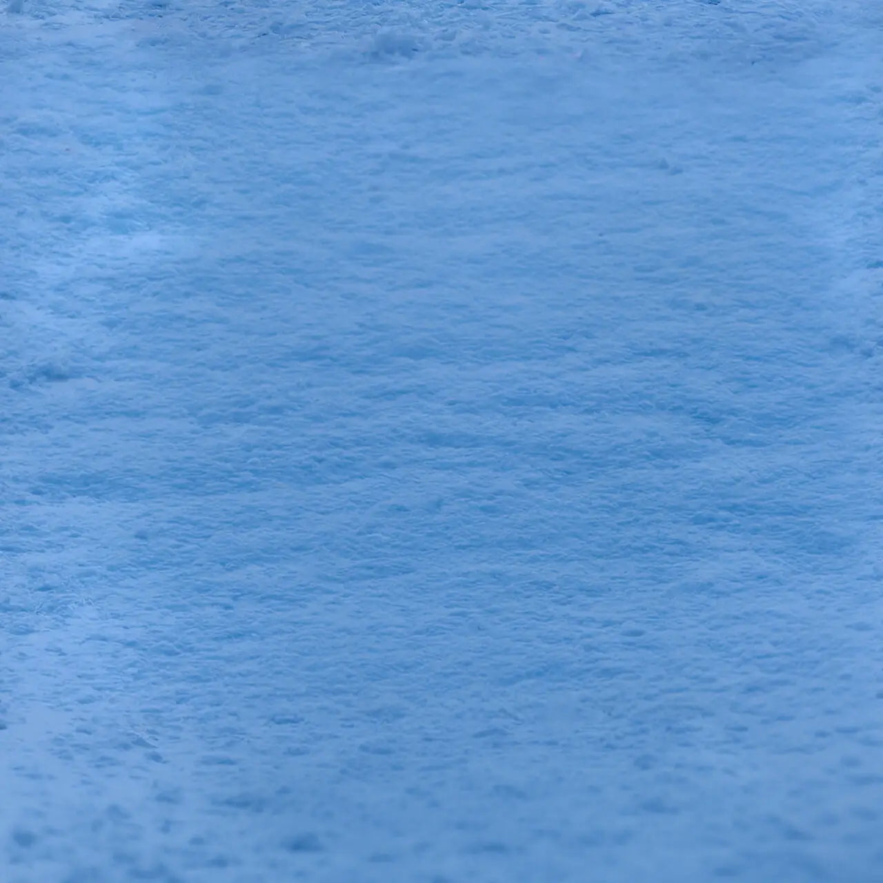 Frozen Forest Rubbermat Floor