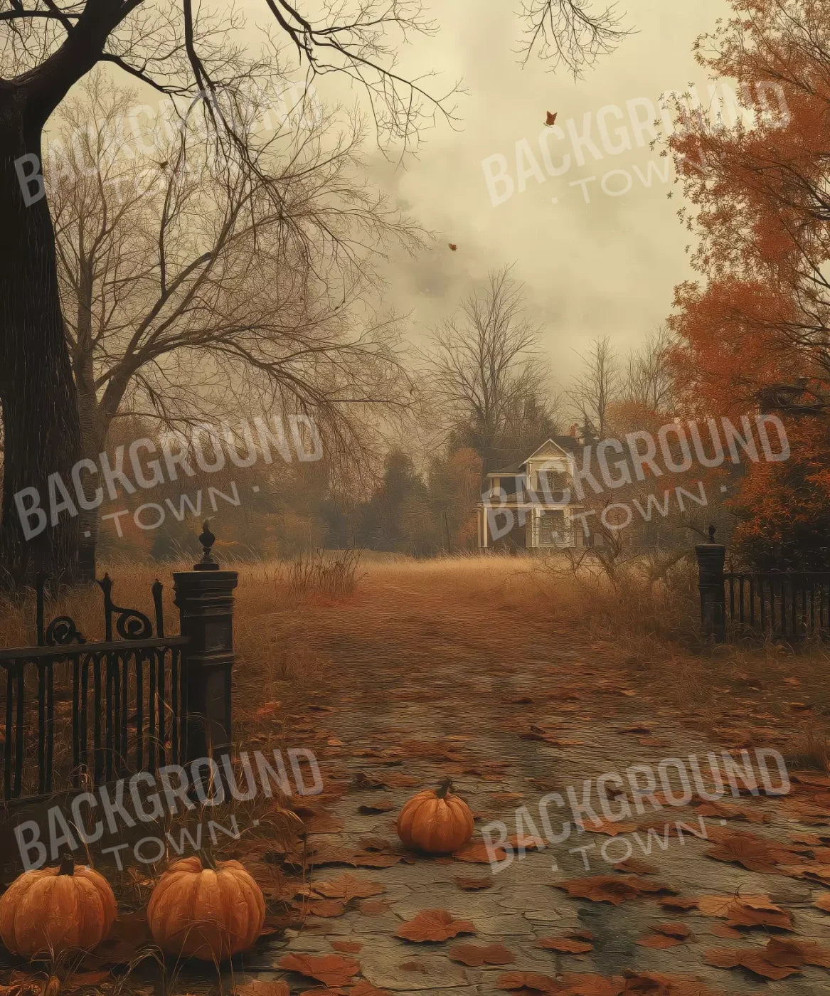 Brown , Orange Backdrop for Photography