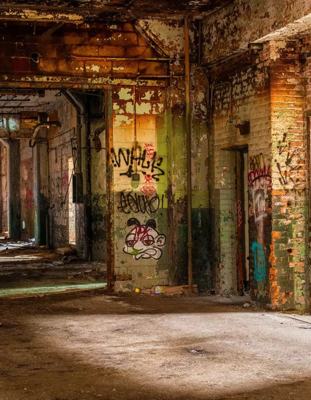 Abandoned Halls 6X8 Fleece ( 72 X 96 Inch ) Backdrop