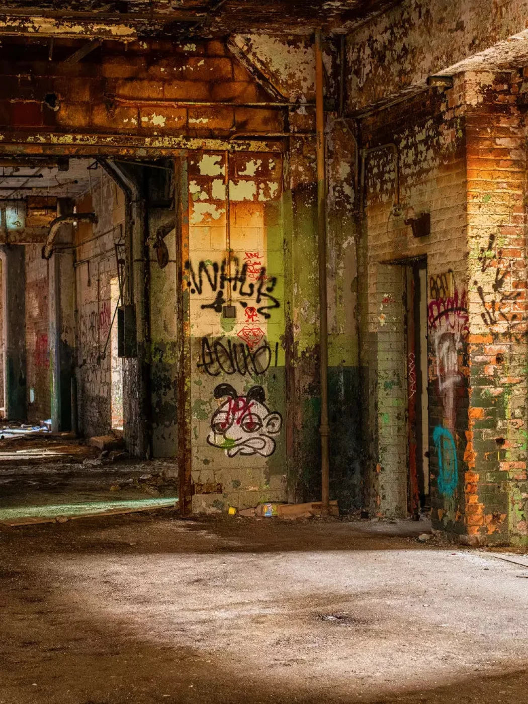 Abandoned Halls 8X10 Fleece ( 96 X 120 Inch ) Backdrop