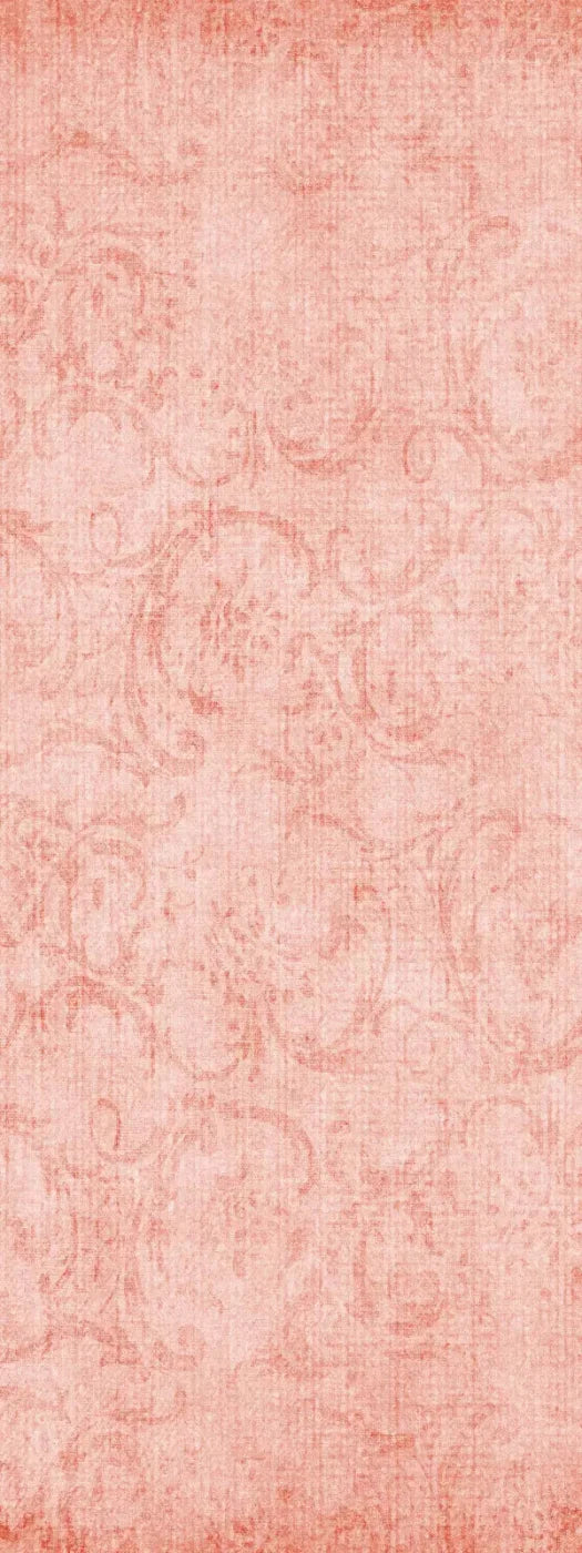 Abella 8X20 Ultracloth ( 96 X 240 Inch ) Backdrop