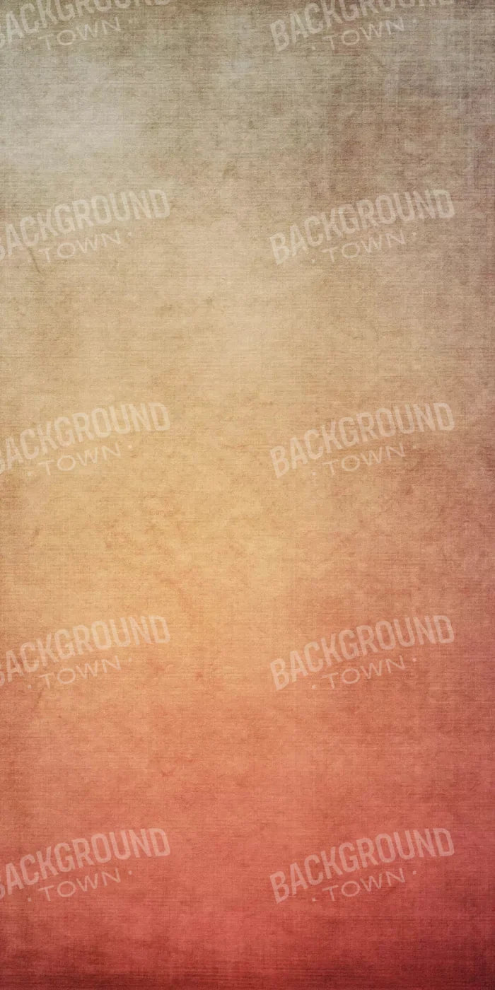 Abigail 10X20 Ultracloth ( 120 X 240 Inch ) Backdrop