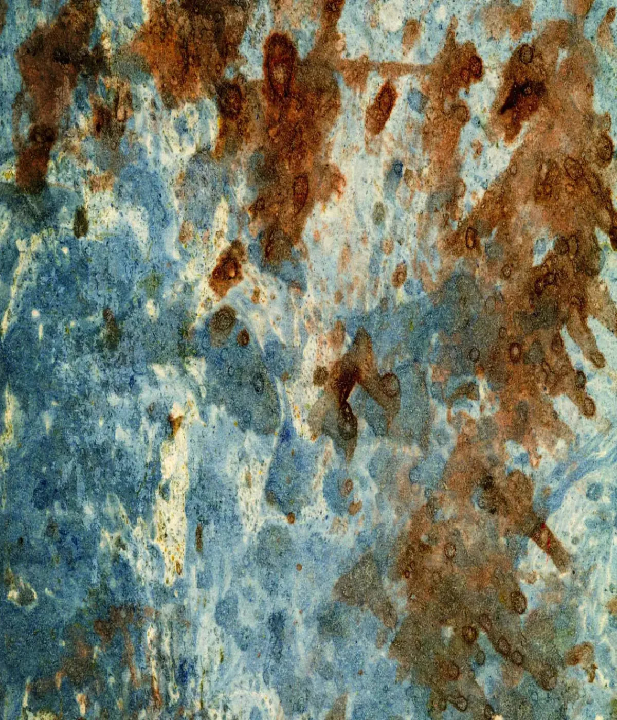 Absurd 10X12 Ultracloth ( 120 X 144 Inch ) Backdrop