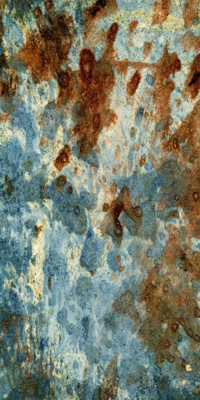 Absurd 10X20 Ultracloth ( 120 X 240 Inch ) Backdrop