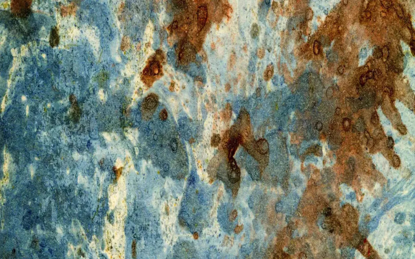 Absurd 14X9 Ultracloth ( 168 X 108 Inch ) Backdrop