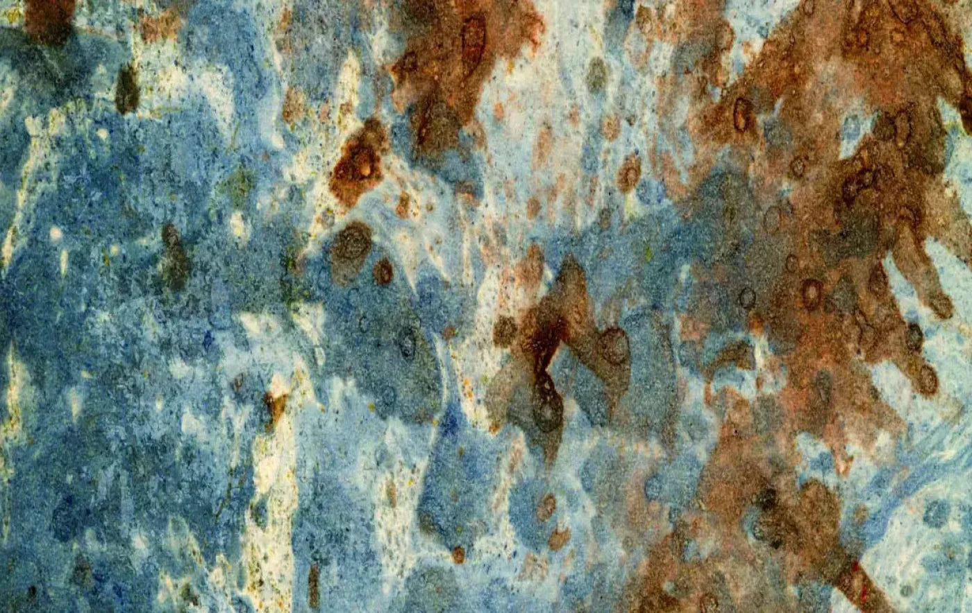 Absurd 16X10 Ultracloth ( 192 X 120 Inch ) Backdrop