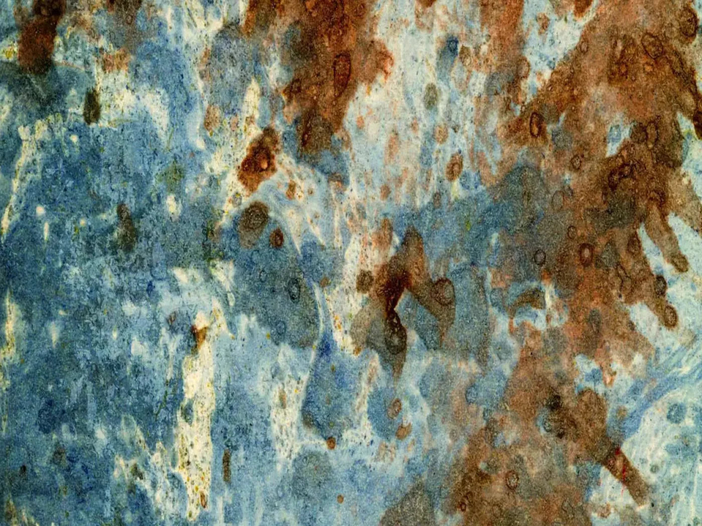 Absurd 7X5 Ultracloth ( 84 X 60 Inch ) Backdrop