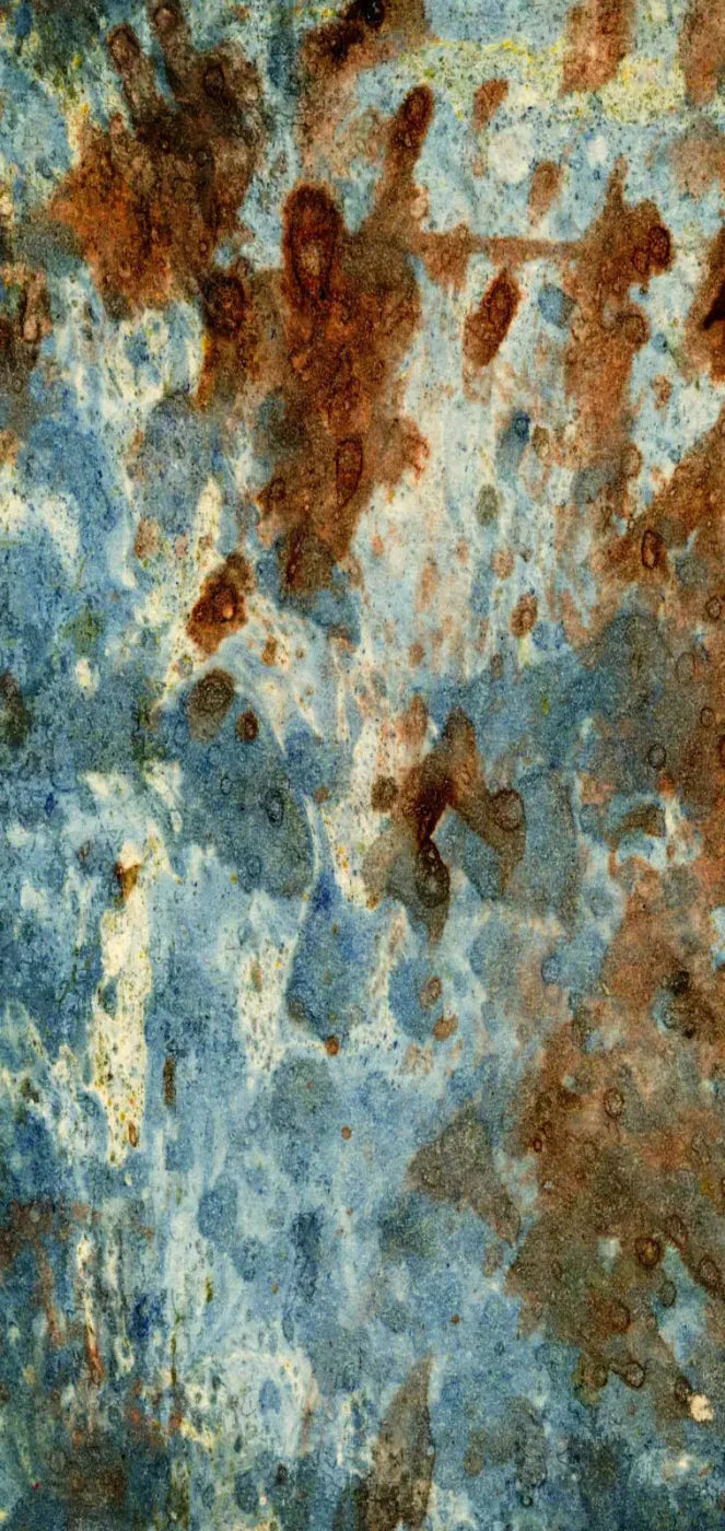 Absurd 8X16 Ultracloth ( 96 X 192 Inch ) Backdrop