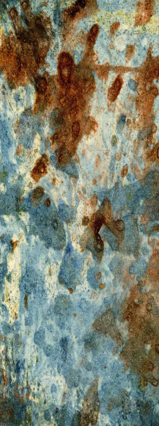 Absurd 8X20 Ultracloth ( 96 X 240 Inch ) Backdrop