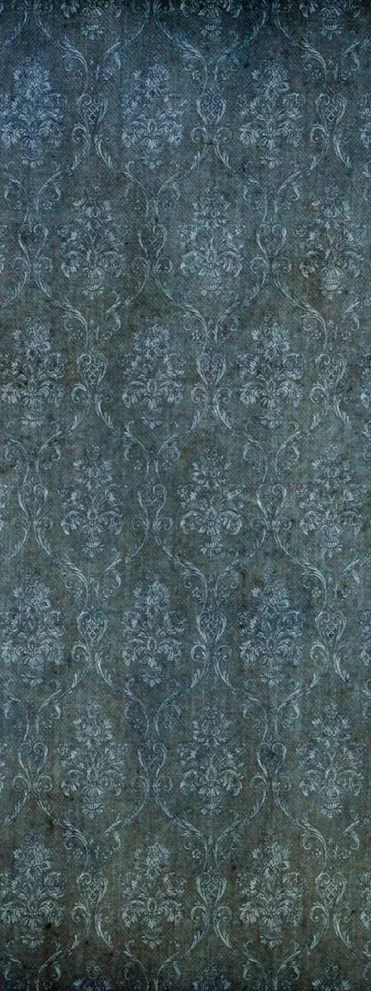 Addiction 8X20 Ultracloth ( 96 X 240 Inch ) Backdrop