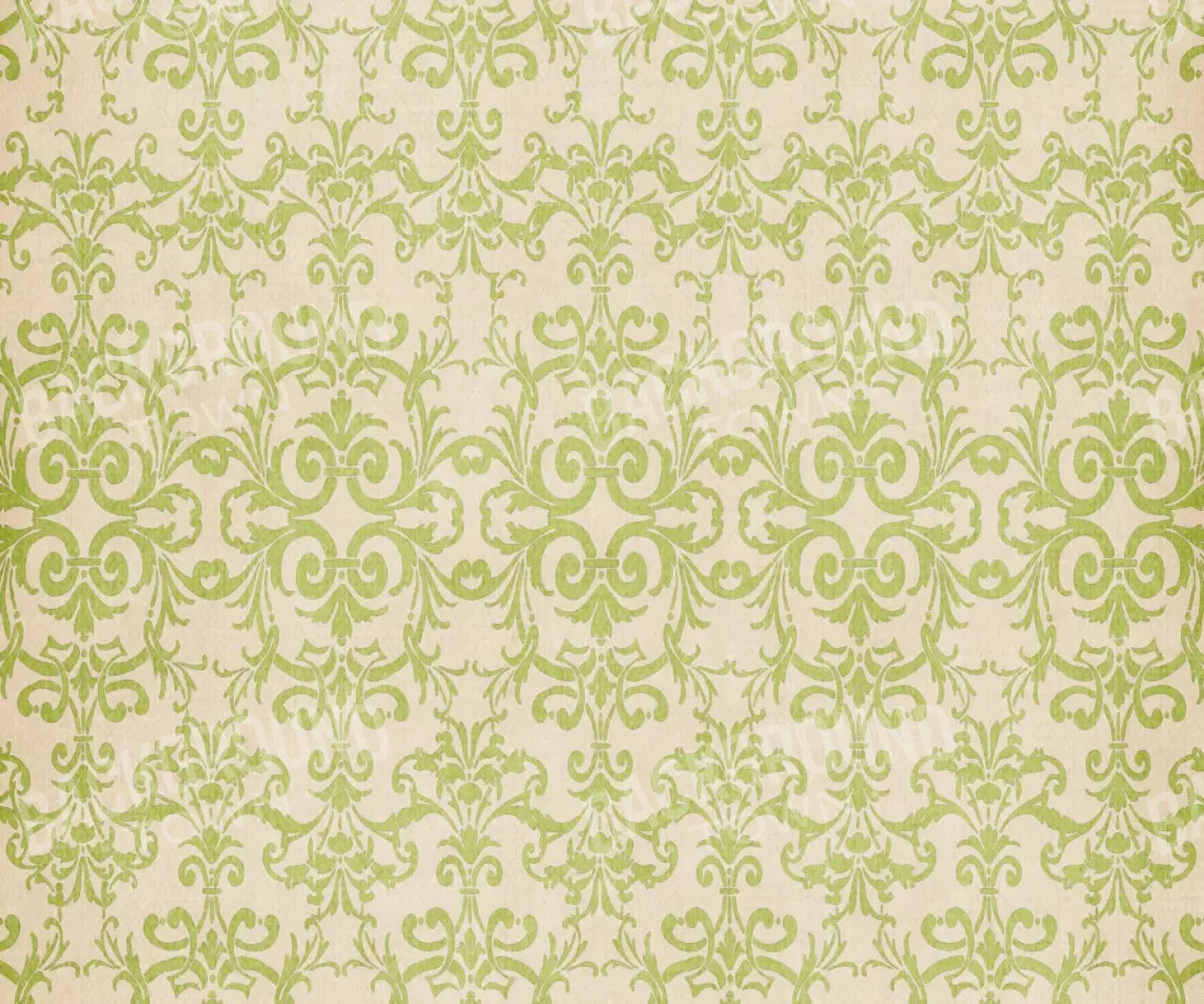 Agave 5X42 Fleece ( 60 X 50 Inch ) Backdrop
