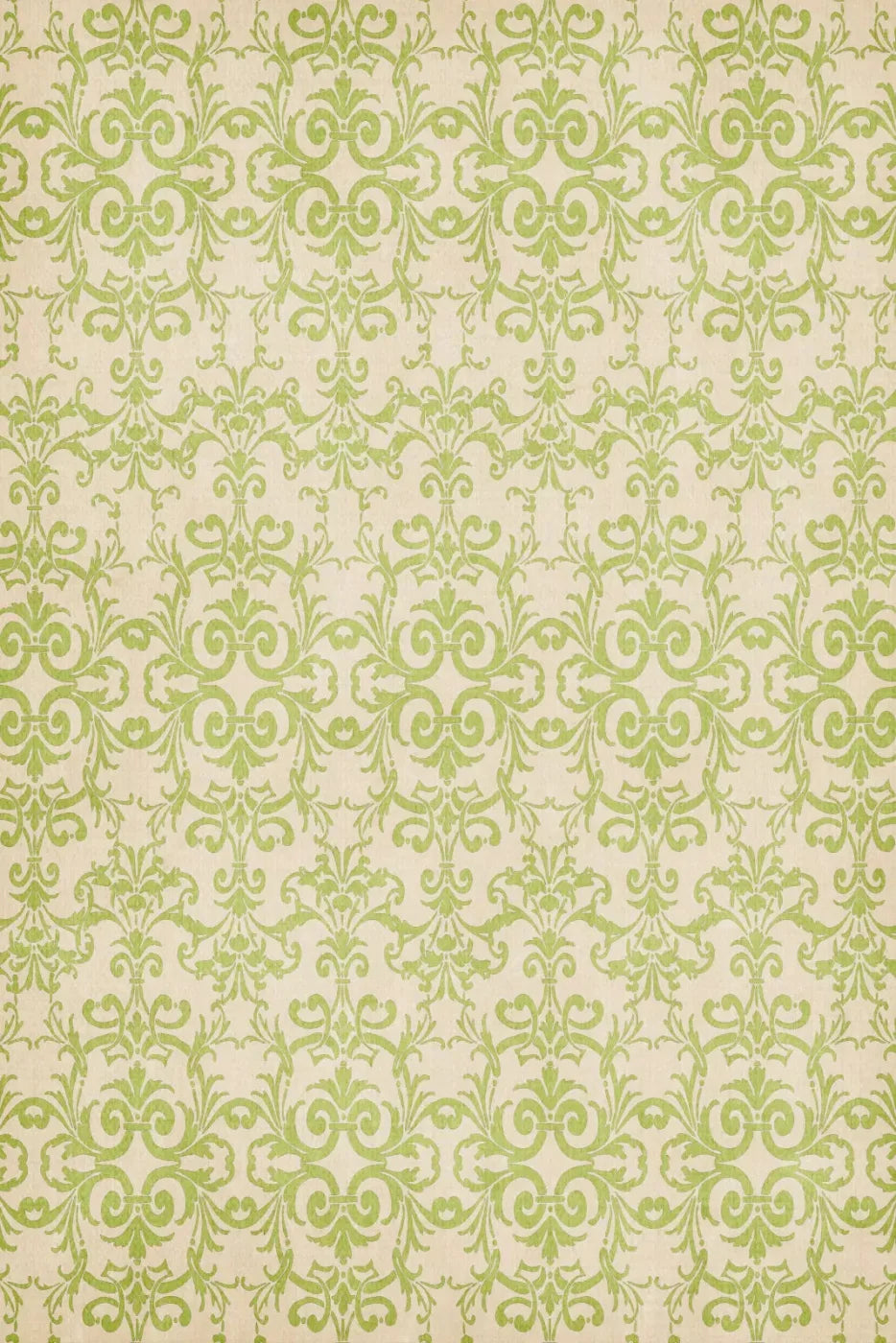 Agave 5X8 Ultracloth ( 60 X 96 Inch ) Backdrop