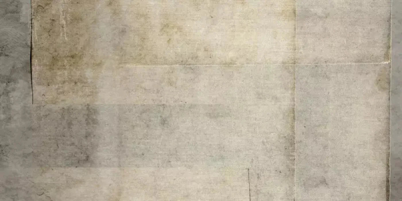 Aged 20X10 Ultracloth ( 240 X 120 Inch ) Backdrop