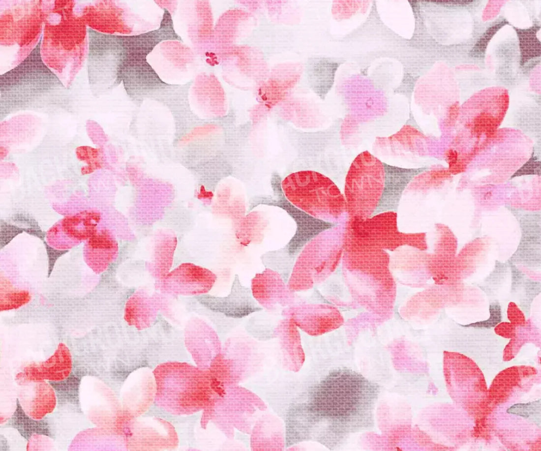 Ainsley 5X42 Fleece ( 60 X 50 Inch ) Backdrop