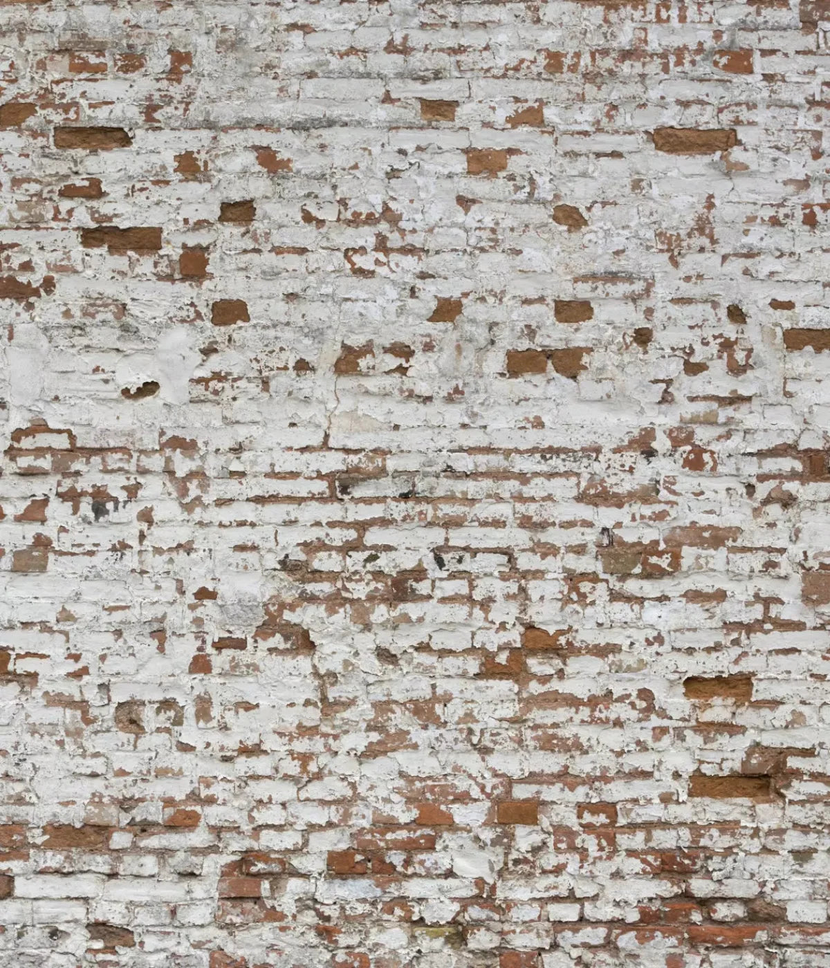 Alcatraz 10X12 Ultracloth ( 120 X 144 Inch ) Backdrop