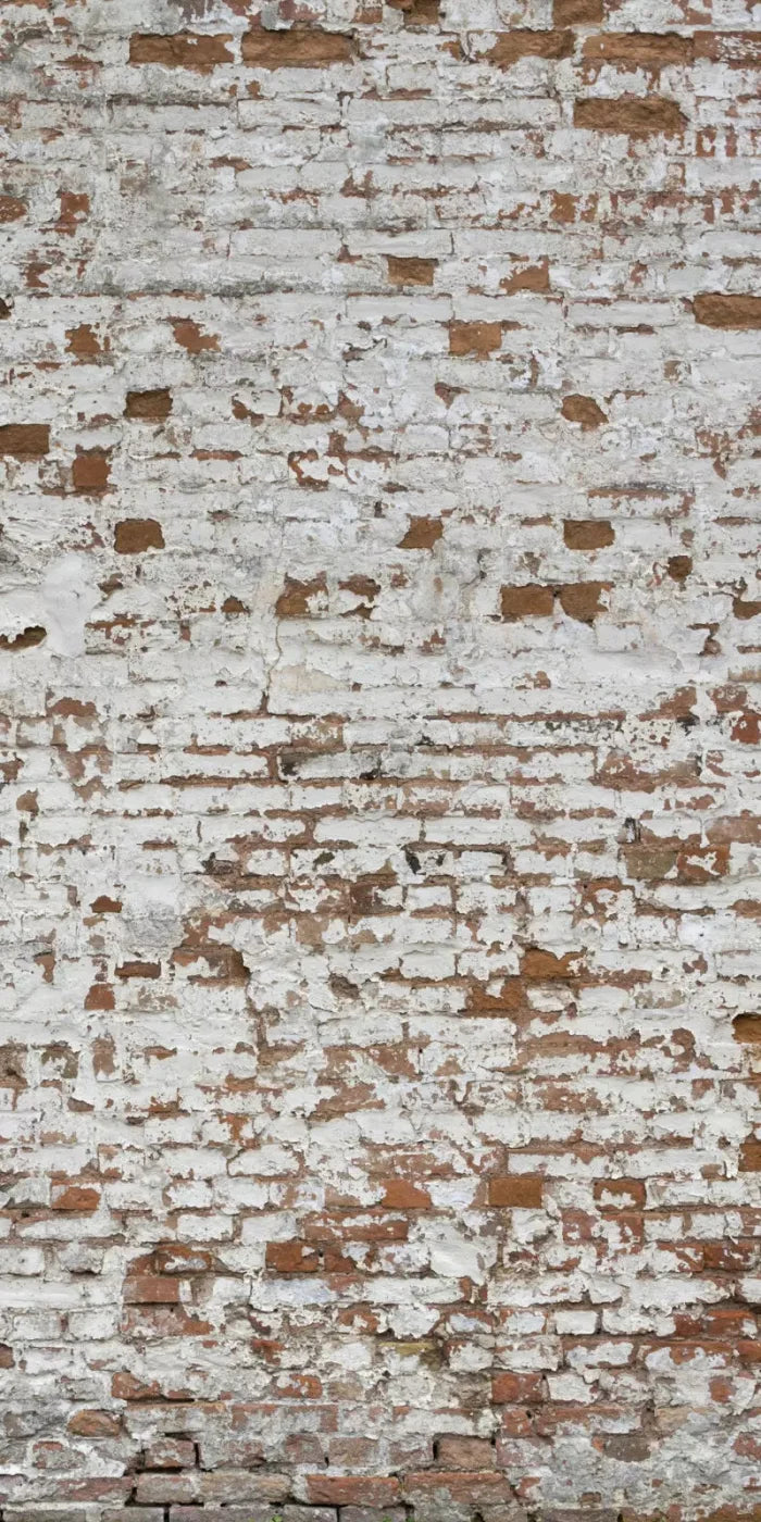 Alcatraz 10X20 Ultracloth ( 120 X 240 Inch ) Backdrop