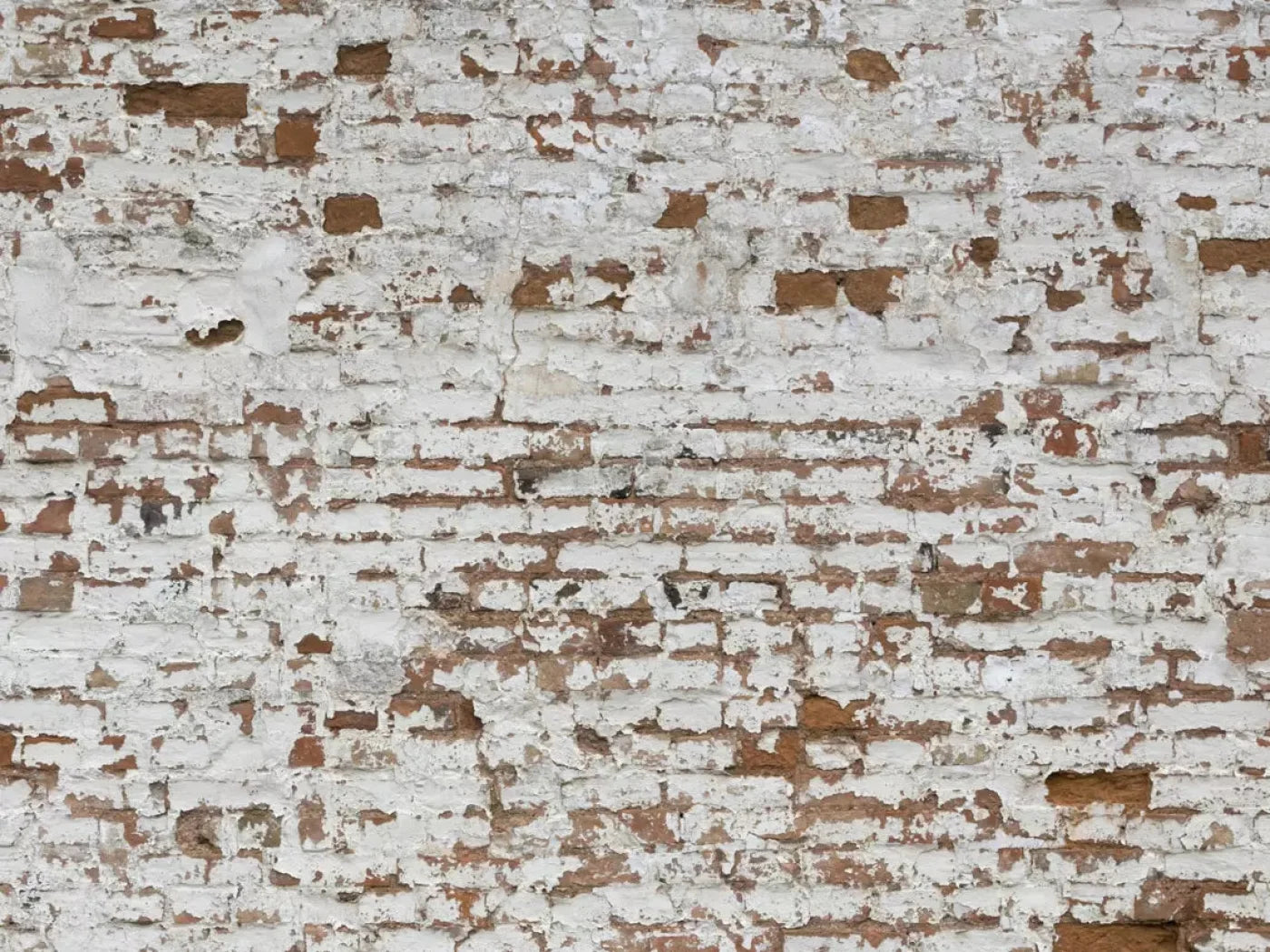 Alcatraz 10X8 Fleece ( 120 X 96 Inch ) Backdrop