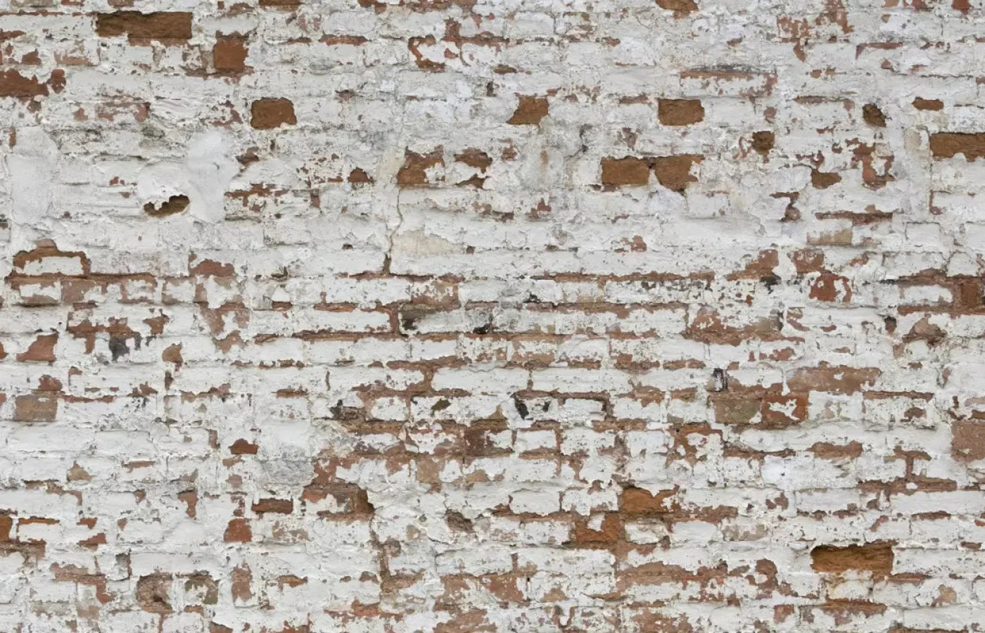 Alcatraz 12X8 Ultracloth ( 144 X 96 Inch ) Backdrop