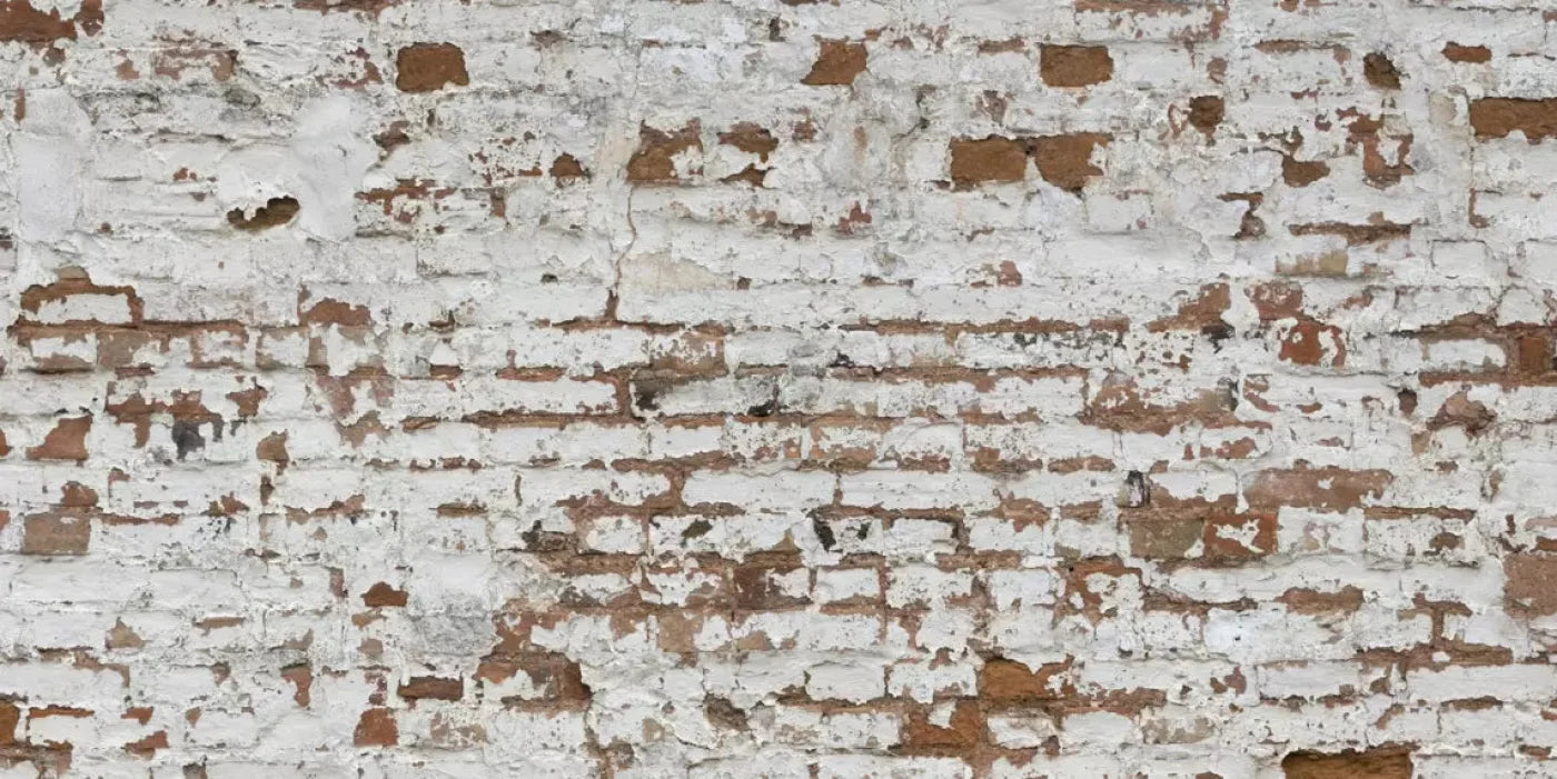 Alcatraz 20X10 Ultracloth ( 240 X 120 Inch ) Backdrop