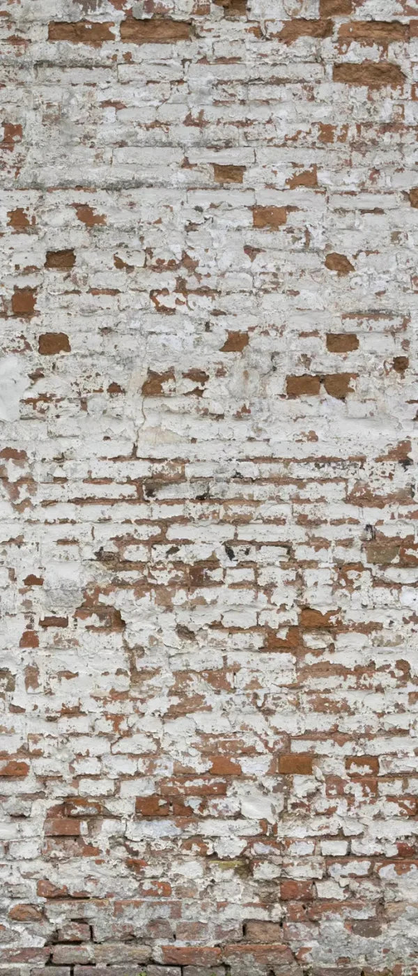 Alcatraz 5X12 Ultracloth For Westcott X-Drop ( 60 X 144 Inch ) Backdrop
