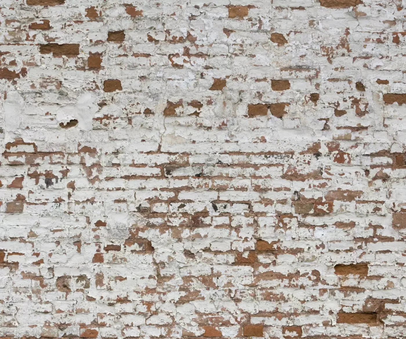 Alcatraz 5X42 Fleece ( 60 X 50 Inch ) Backdrop