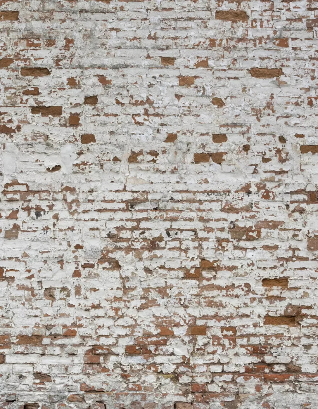 Alcatraz 6X8 Fleece ( 72 X 96 Inch ) Backdrop