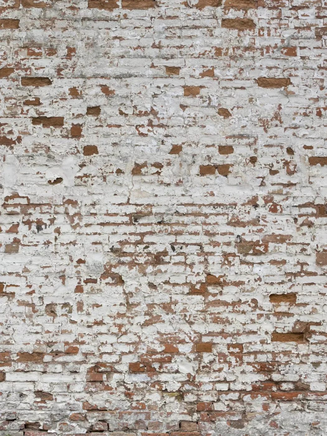 Alcatraz 8X10 Fleece ( 96 X 120 Inch ) Backdrop