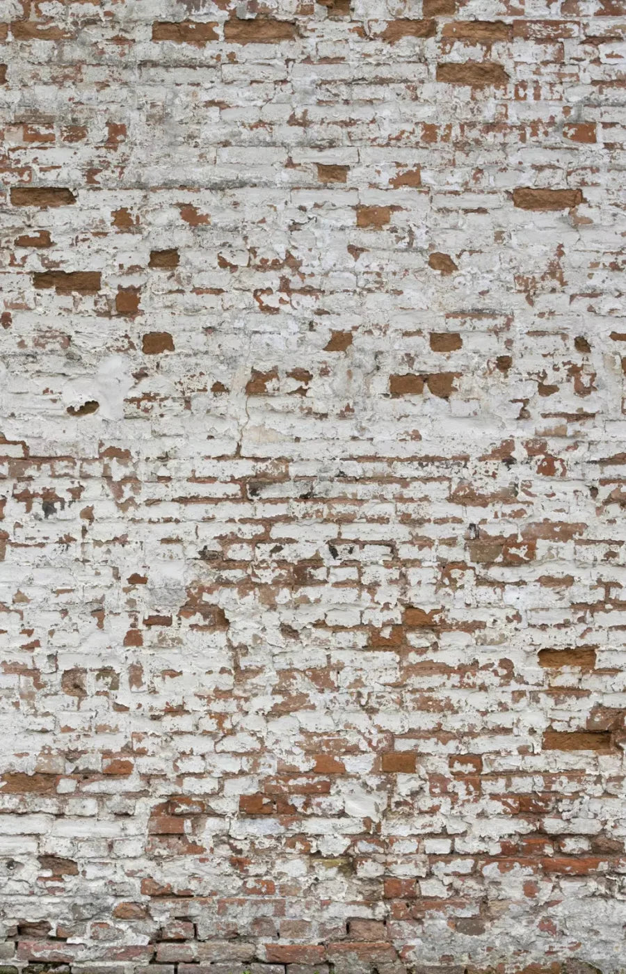 Alcatraz 8X12 Ultracloth ( 96 X 144 Inch ) Backdrop