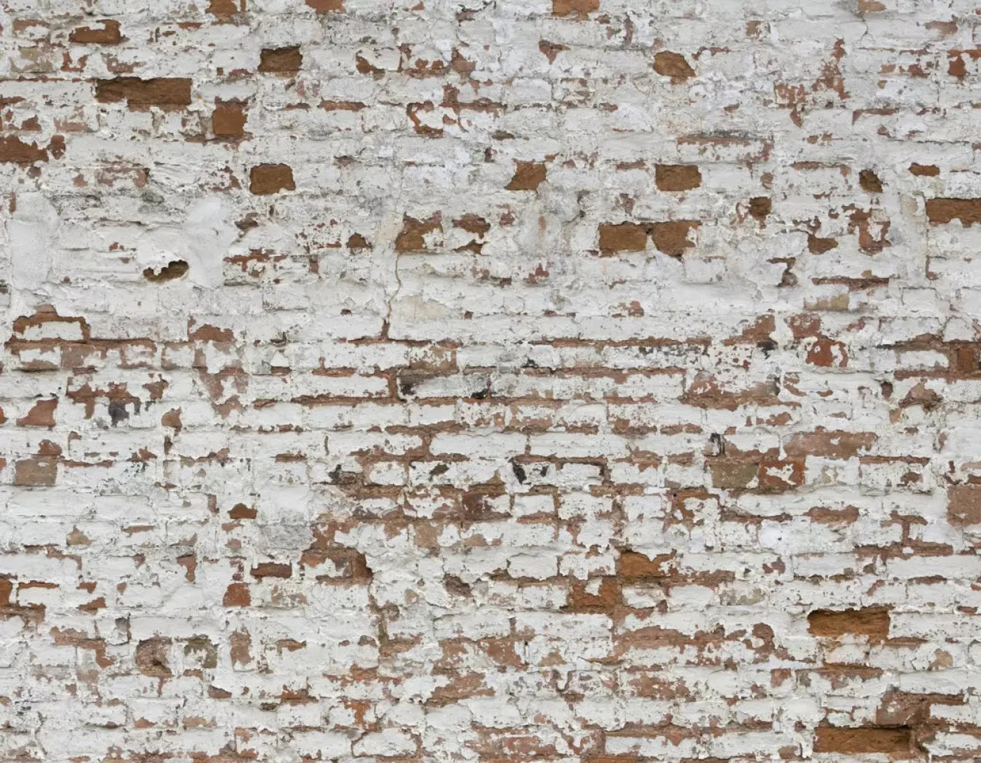 Alcatraz 8X6 Fleece ( 96 X 72 Inch ) Backdrop