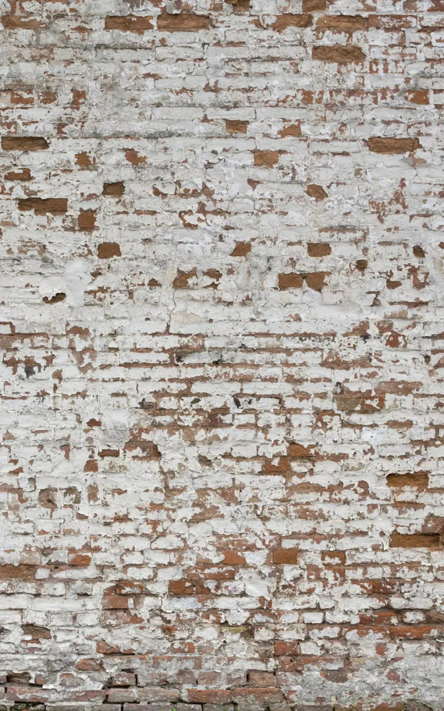 Alcatraz 9X14 Ultracloth ( 108 X 168 Inch ) Backdrop