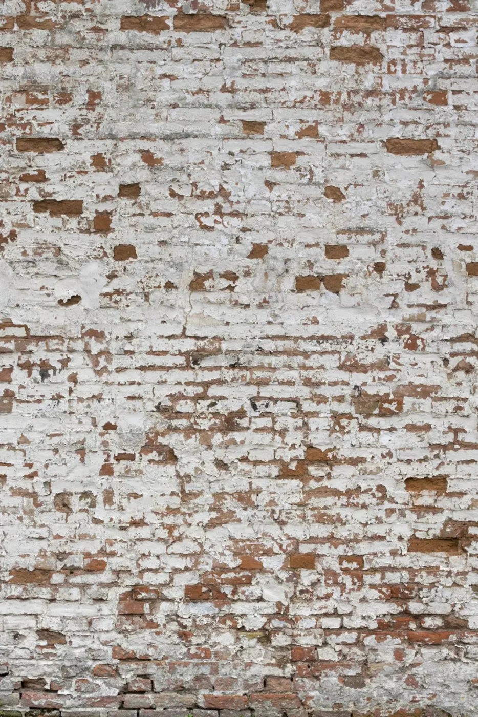 Alcatraz 5X76 For Lvl Up Backdrop System ( 60 X 90 Inch )
